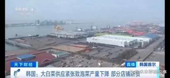 猛涨限购断货疯狂进口中国大白菜AG真人游戏地址韩国泡菜价格