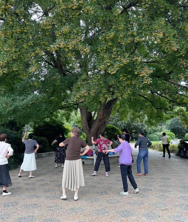 老人都有以下5个共性值得儿女们深思AG真人游戏地址我发现帮子女带娃的(图1)