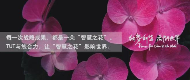 IKEA）的全球化历程、品牌战略与启示AG真人娱乐网址从小镇走向世界 宜家（(图3)